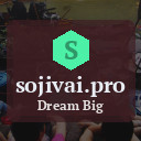 sojivai.pro